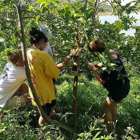 Lavievulinh Ecolodge Vũ Linh Eksteriør billede